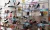 靴の尚美堂 ゆめマート玉名店のレディーストレンドシューズコーナー。新作パンプス、季節限定のサンダル、履きやすいスリッポンなどを紹介。